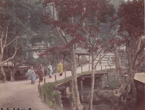 Parc à Miyajima