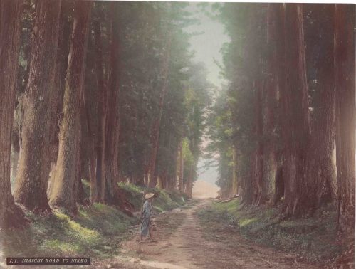 Allée des Cèdres d’Imaichi