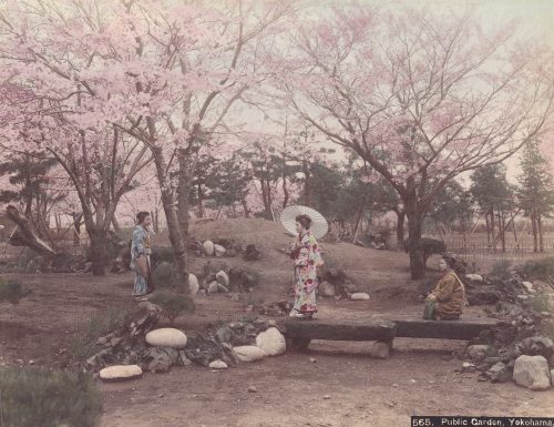 Jardin public, Yokohama