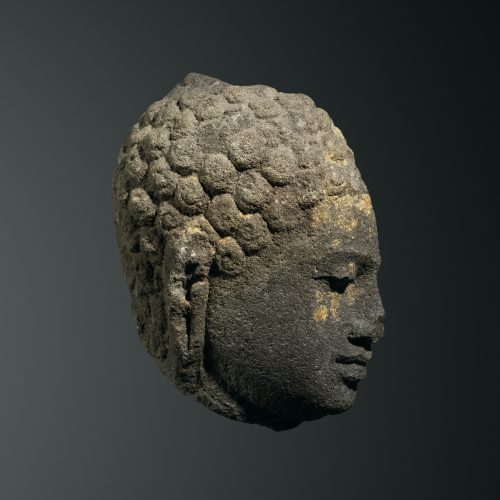 Profil de Buddha