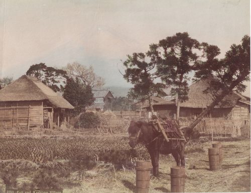 Le mont Fuji et le village de Kashima