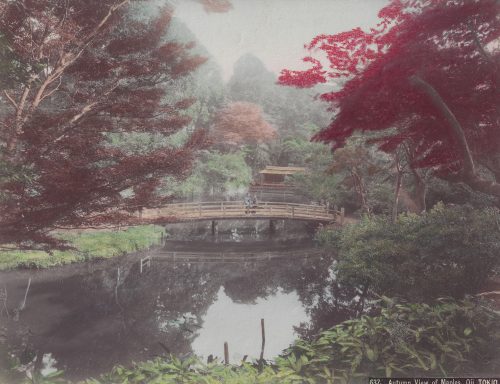 Vue automnale des érables à Oji, Tokyo