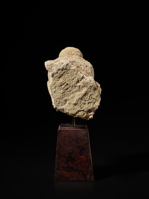Buddha head - Image 4